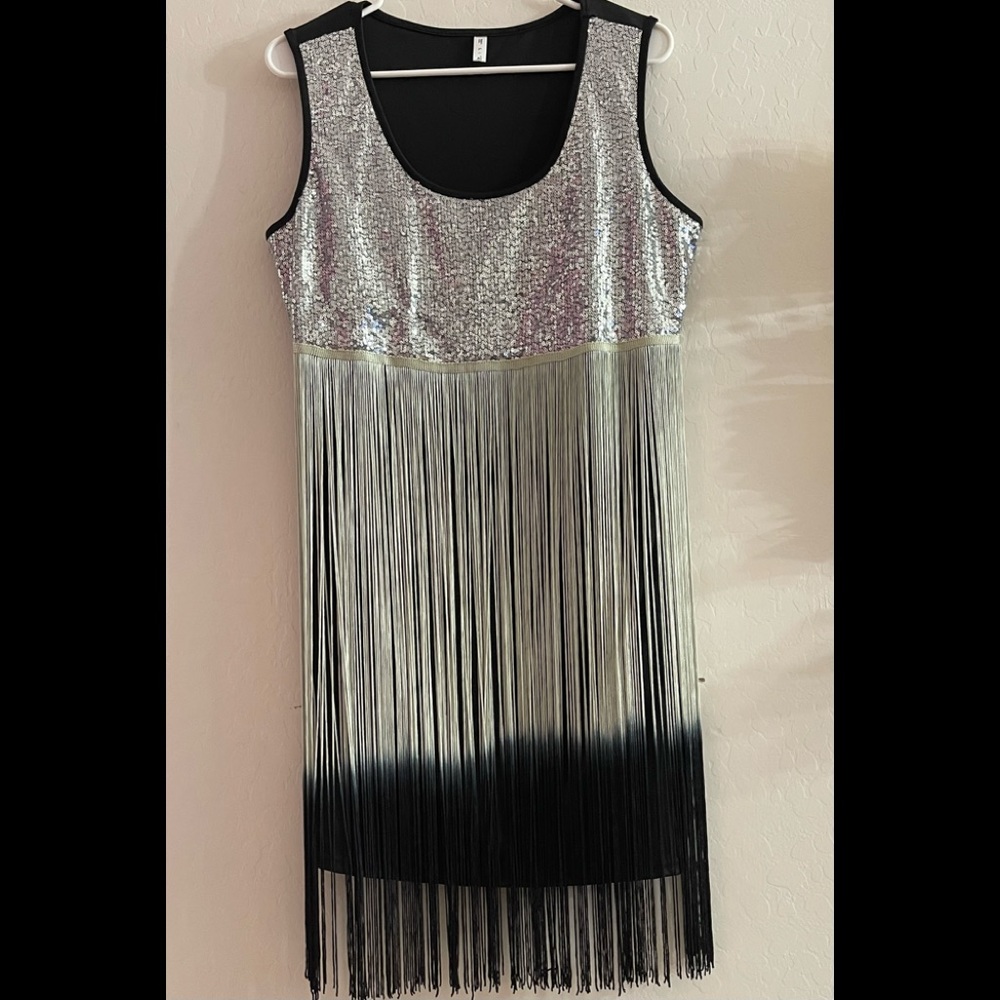 Plus Size Sequins Trim Fringed Dress. New With Out Tags.